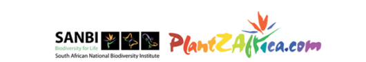 PlantZAfrica