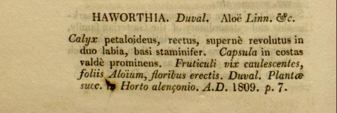 Haworth, Adrian Hardy - Synopsis plantarum succulentarum :cum descriptionibus, synonymis, locis, observationibus anglicanis, culturaque Haworth, Adrian Hardy - Synopsis plantarum succulentarum :cum descriptionibus, synonymis, locis, observationibus anglicanis, culturaque